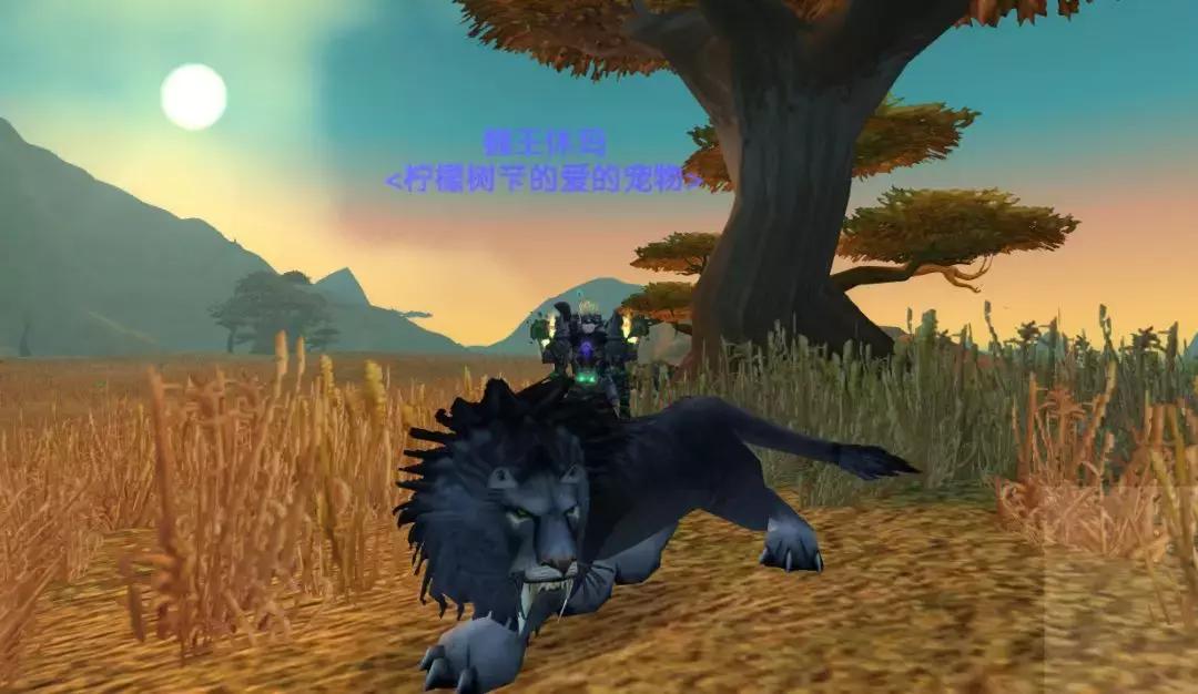 9.1魔兽世界u20战场,魔兽世界80级版本猎人宠物天赋