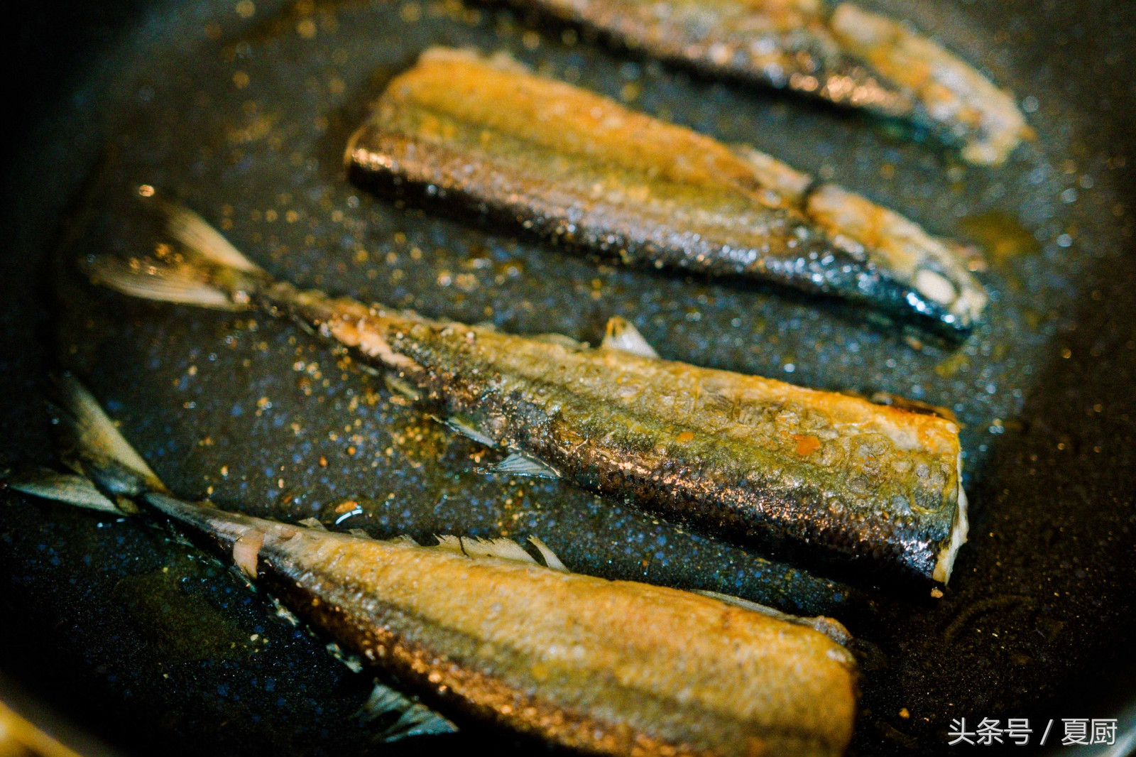 香煎秋刀鱼有鱼刺吗,香煎秋刀鱼图片