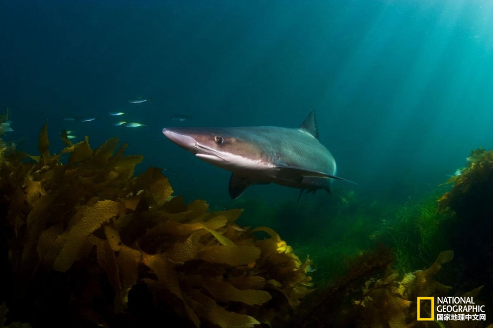 一支防晒霜还需要一顶帽吗,一支防晒霜需要多少帽子