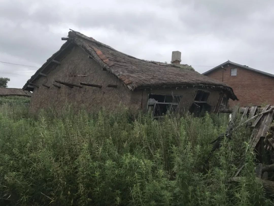 央视汤兰兰案,汤兰兰案件疑点央视全集