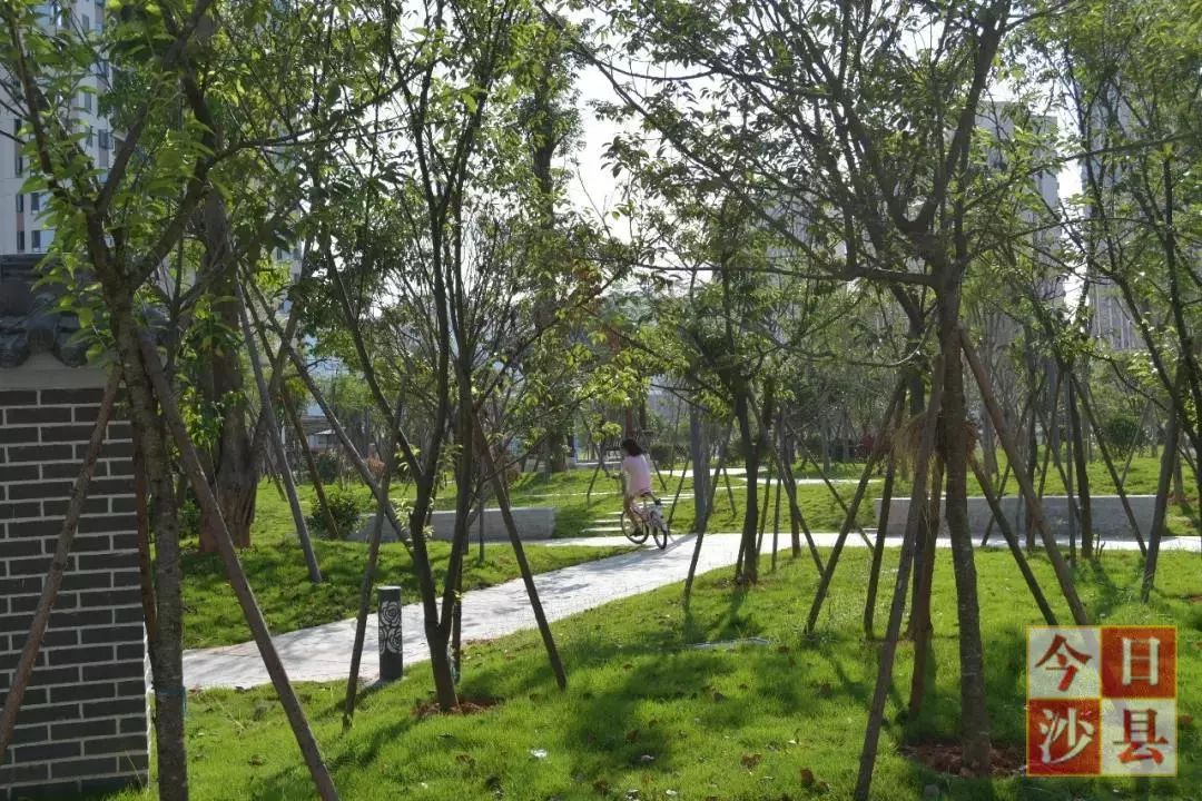 「沙县项目攻坚」以人民为中心，县委、县政府全力推进14件为民办实事项目建设