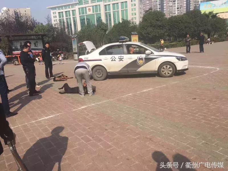 被狗咬住不放怎么办,被狗咬着不松口怎么快速脱离