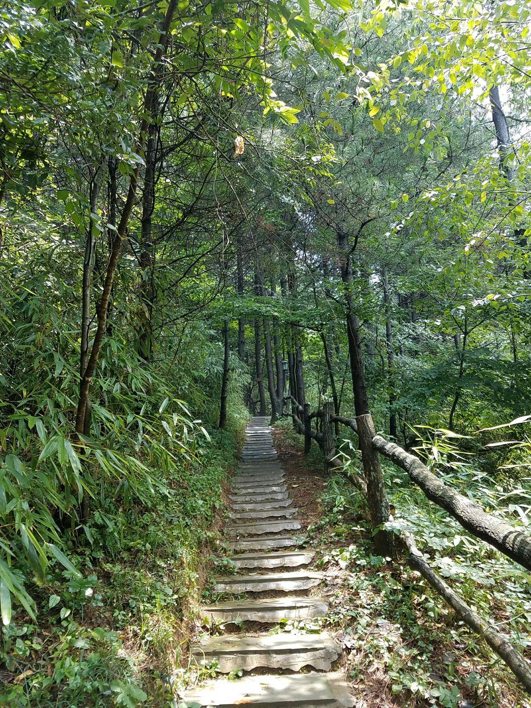曾家山避暑15天吃住,避暑胜地曾家山