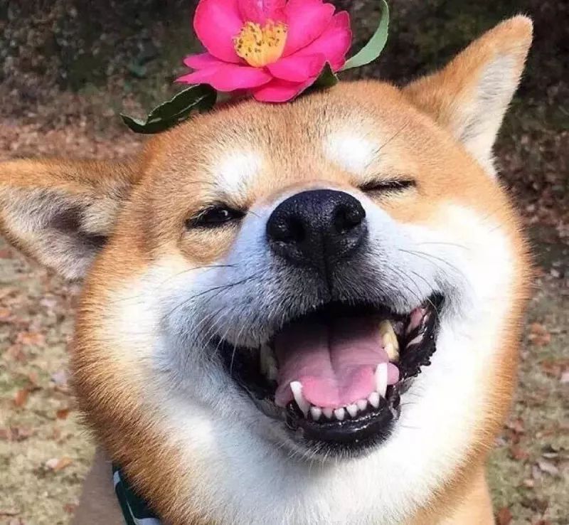 洋垃圾被海关查获,1万吨洋垃圾退运出境