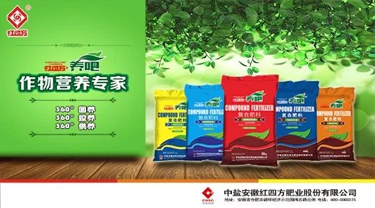 微生物菌剂和菌肥有什么区别图片,液肥与微生物菌剂一起用怎么样
