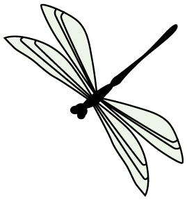 中医养生大讲堂治腰间盘突出,中医讲堂腰椎间盘突出