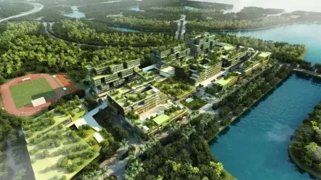 碧桂园森林城市投资了多少,碧桂园森林城市判决