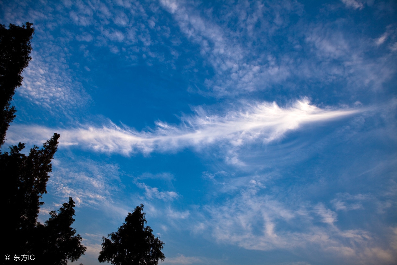 北冥之鲲鹏,北冥之鲲是什么鱼