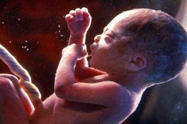 孕晚期胎儿晚上频繁胎动白天不动,孕晚期胎儿可以感受到胎动吗