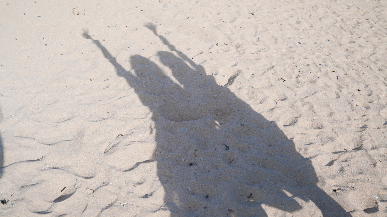 巴厘岛吃喝攻略,巴厘岛闺蜜