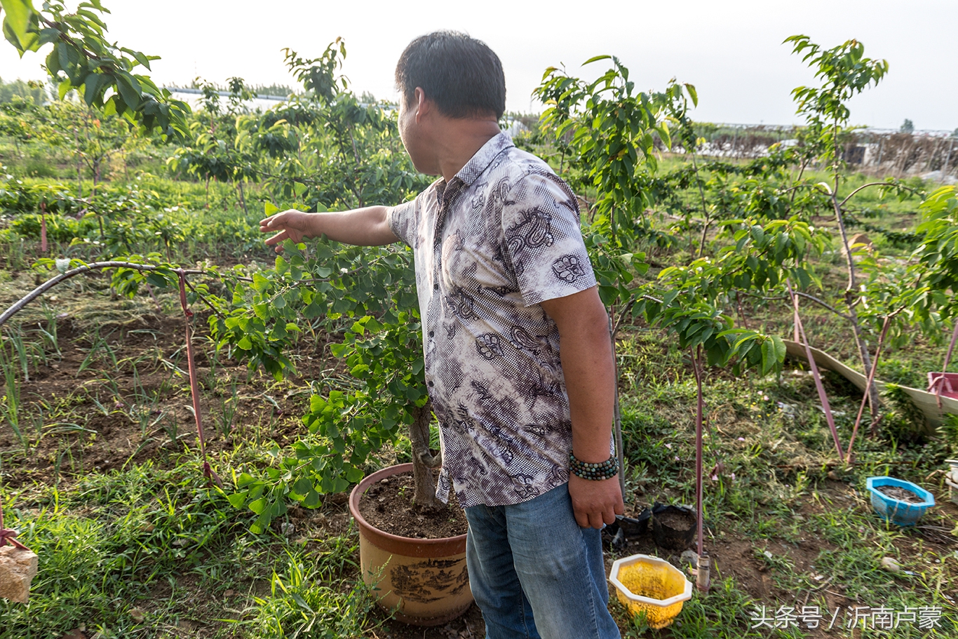 陈锋名师工作室,陈锋老师视频
