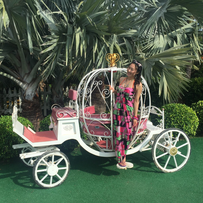 海口到三亚旅行攻略,三亚凤凰岛旅行攻略