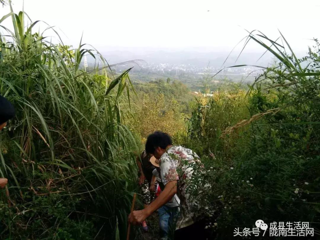 陇南市成县小川镇庙会,今年甘肃陇南成县泰山庙庙会