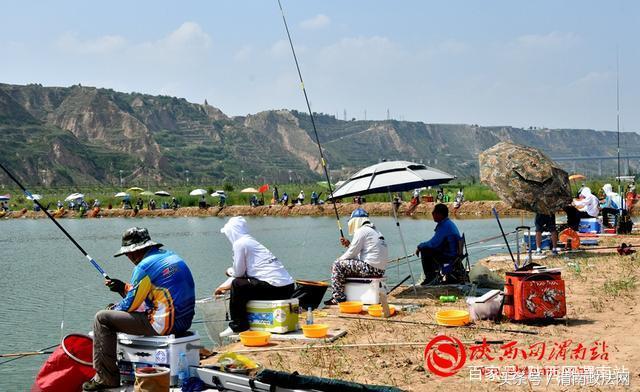 合阳洽川黄河湾,合阳钓鱼大赛