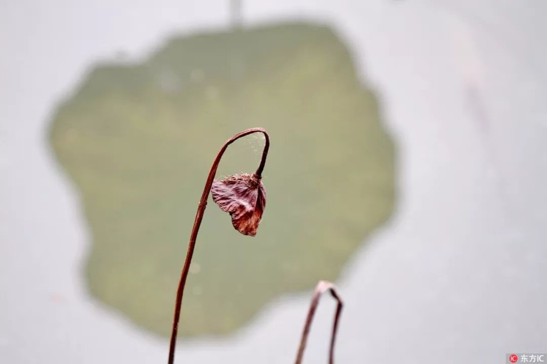 中国传统文化常识和民俗别称,中国民俗别称大全