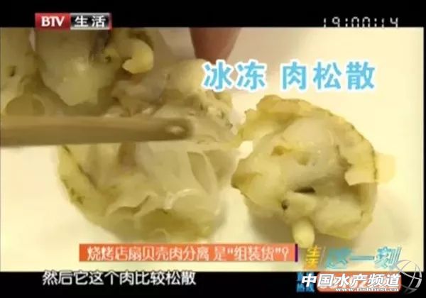 贝壳怎么验真,贝壳有造假的吗