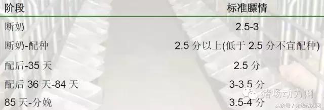 猪场分娩舍有哪些重点,猪场正常分娩接产的操作流程