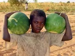 泾源人想穿越到秦朝在回中宫一睹始皇帝的真容,却发现面条馒头都吃不到,只能……