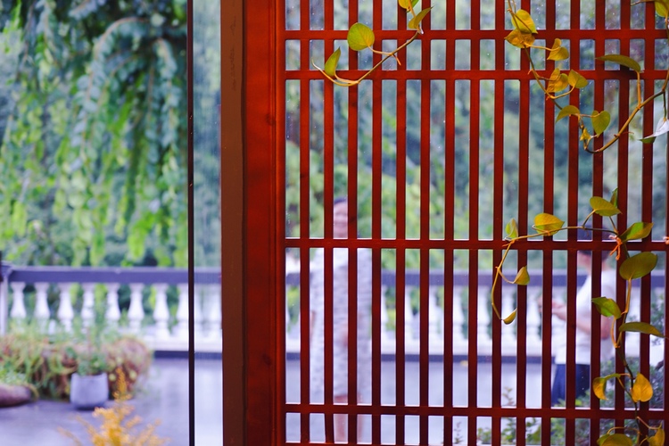 杭州西湖竹涧庭民宿踏春之旅,杭州民宿客栈里的美景攻略