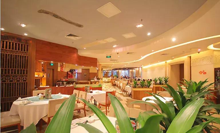 广州晚上可以吃的早茶推荐最正宗,广州早茶100种做法