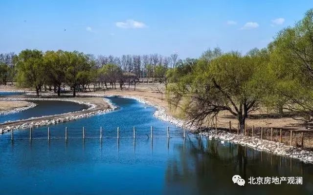 亦庄新盘和悦华锦,北京亦庄和悦华锦户型图