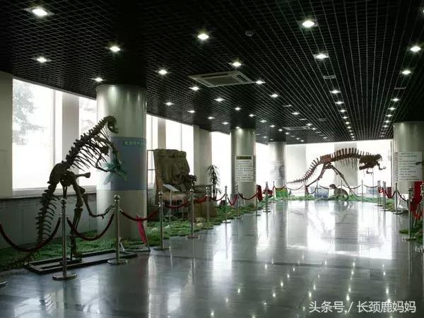 带孩子去北京不建议去哪,带孩子去北京没预约去哪玩