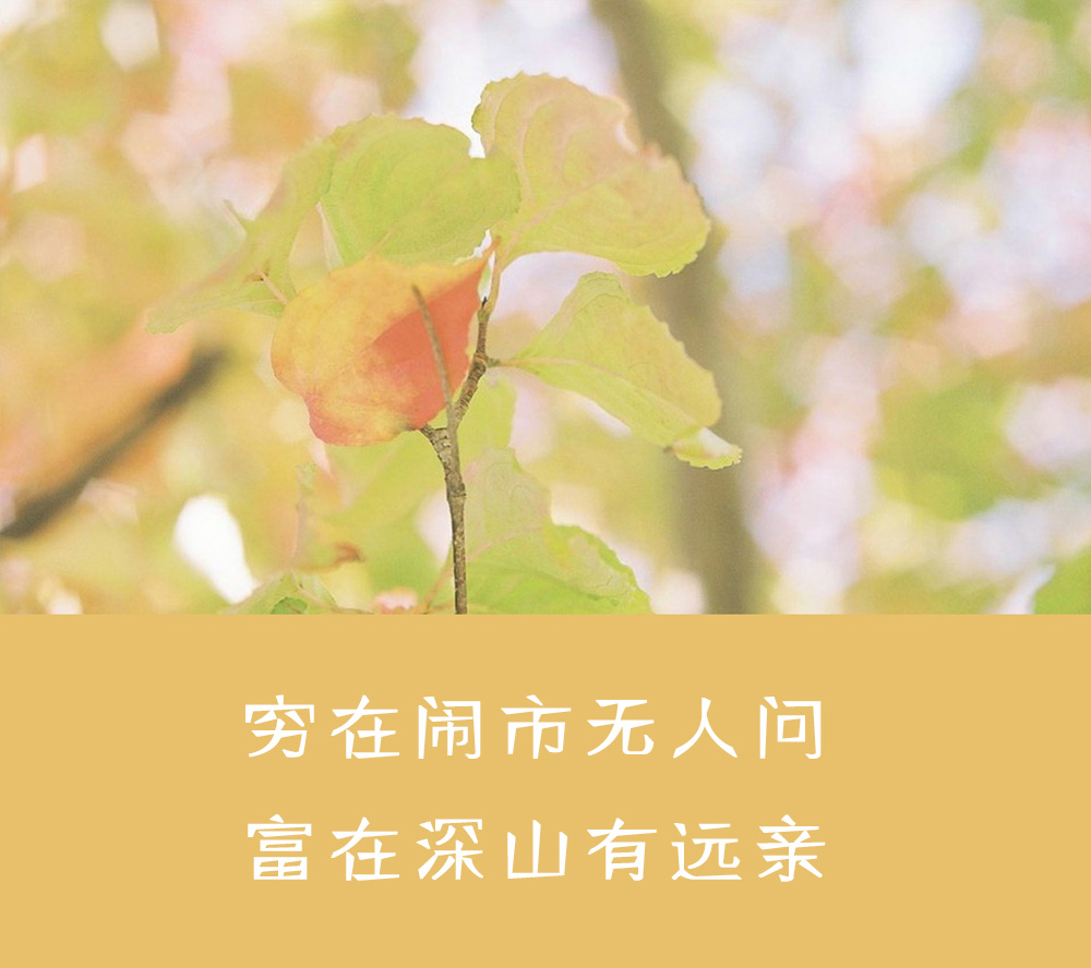 聪明人不交朋友的三个表现,聪明人不与这三种人深交