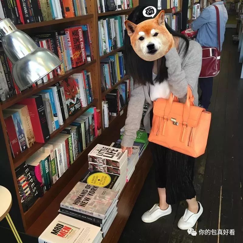 大牌除草机缺点大全,买电动除草机