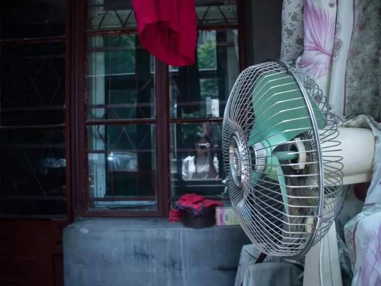 成都冷知识100例,成都冷知识20条