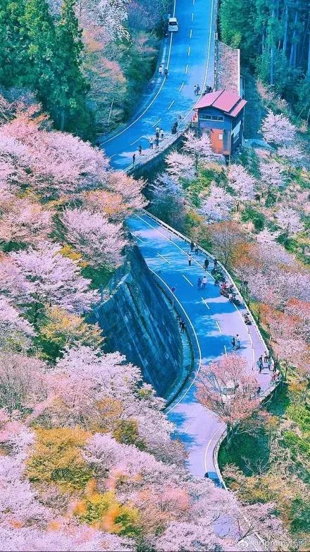 日本除了sk2还有什么牌子,除了sk2还有什么