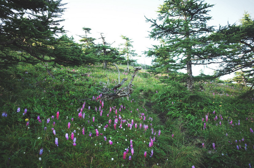 鳌太轻量化装备,夏季鳌太装备