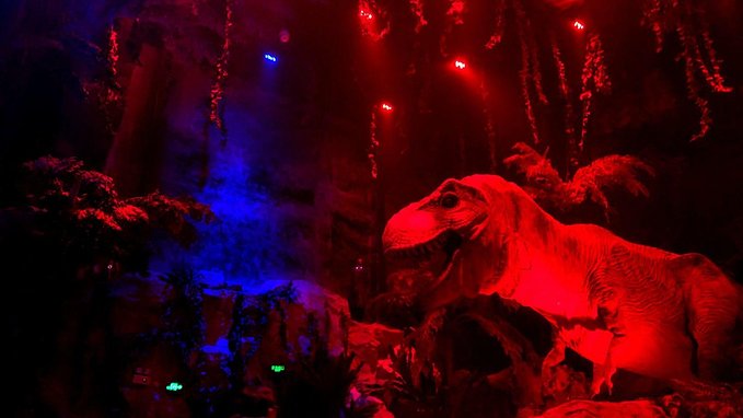 长隆广州野生动物园带娃游玩攻略,一大一小亲子游长隆野生动物园