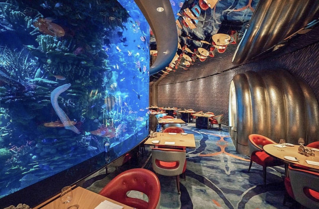 迪拜沙漠里的奇迹之城,沙漠之城迪拜旅行