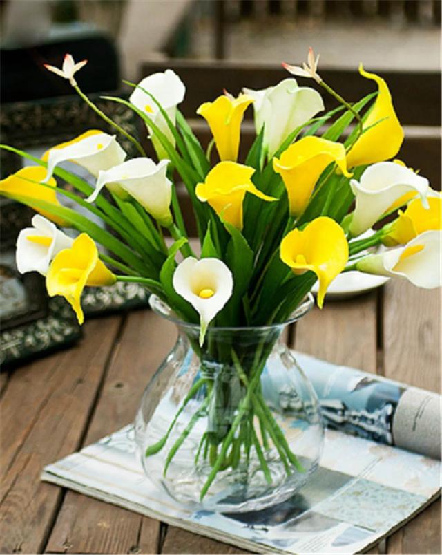 马蹄莲的养护方法快速开花,马蹄莲开花后怎么养护和管理