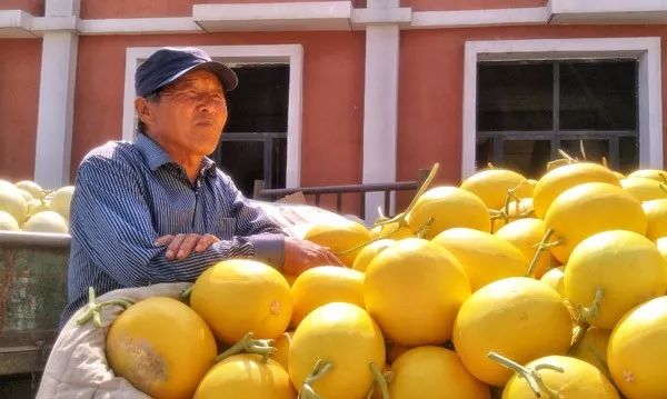 走遍天涯海角忘不了歌名叫什么,走遍天涯海角忘不了原唱