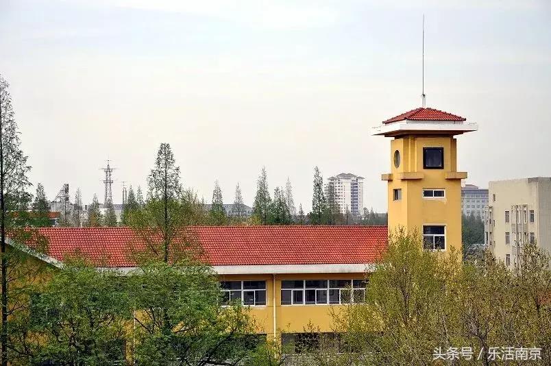 大洗牌榜单,南京最好的初中排名2019