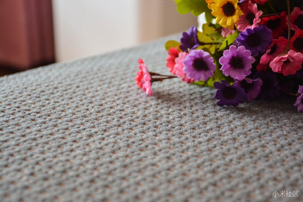 雷军除螨仪,雷军防蚊器