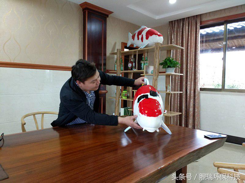 锦鲤鱼池需要什么过滤设备好,锦鲤鱼池过滤设备哪种好