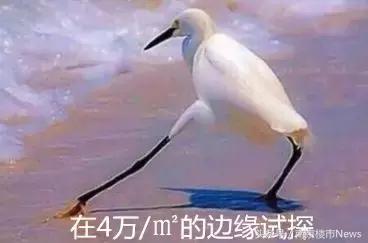 万科金域蓝湾二手房价格,万科金域蓝湾二手房降价