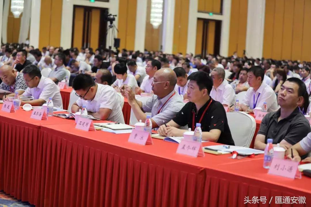 仅两年！让一个垂死品种销量达到120万亩，丰大做到了