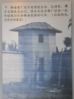 大益普洱茶砖勐海茶厂,90年代普洱茶熟茶的历史