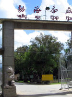 大益普洱茶砖勐海茶厂,90年代普洱茶熟茶的历史