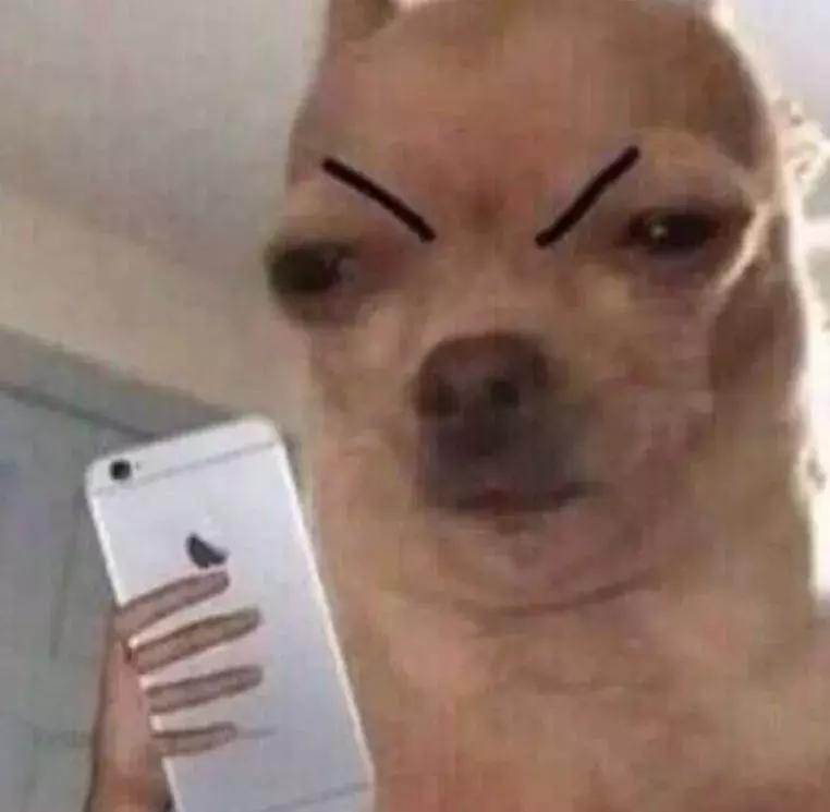 这些东西就别买了，无论贵贱都是浪费钱！