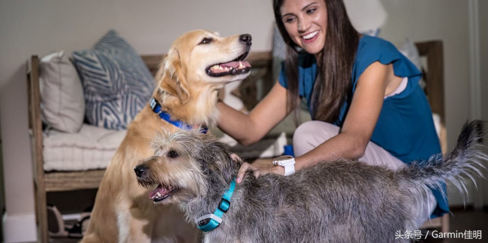 garmin佳明战术版,garmin佳明太阳能手表