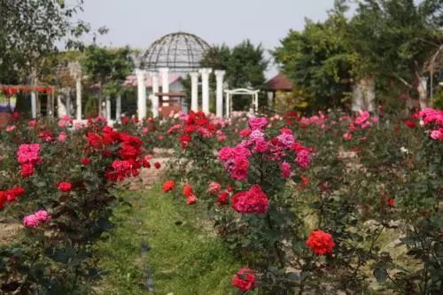 带你看广州最美的夜景,带你看广州一线江景