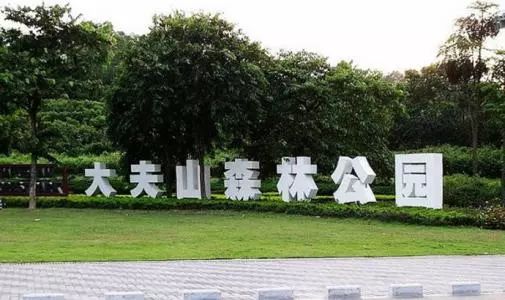 带你看广州最美的夜景,带你看广州一线江景