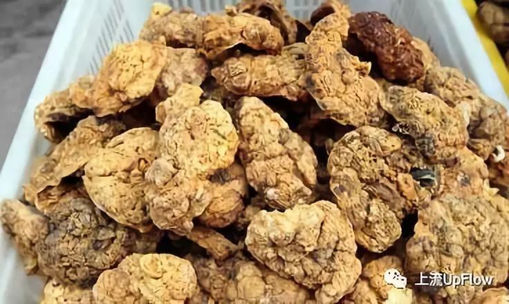 广东婆婆，别逼儿媳妇吃胎盘了