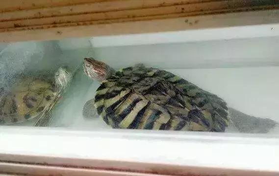 西城最后一个！20年的老市场9月底就没！想怀念的赶紧！