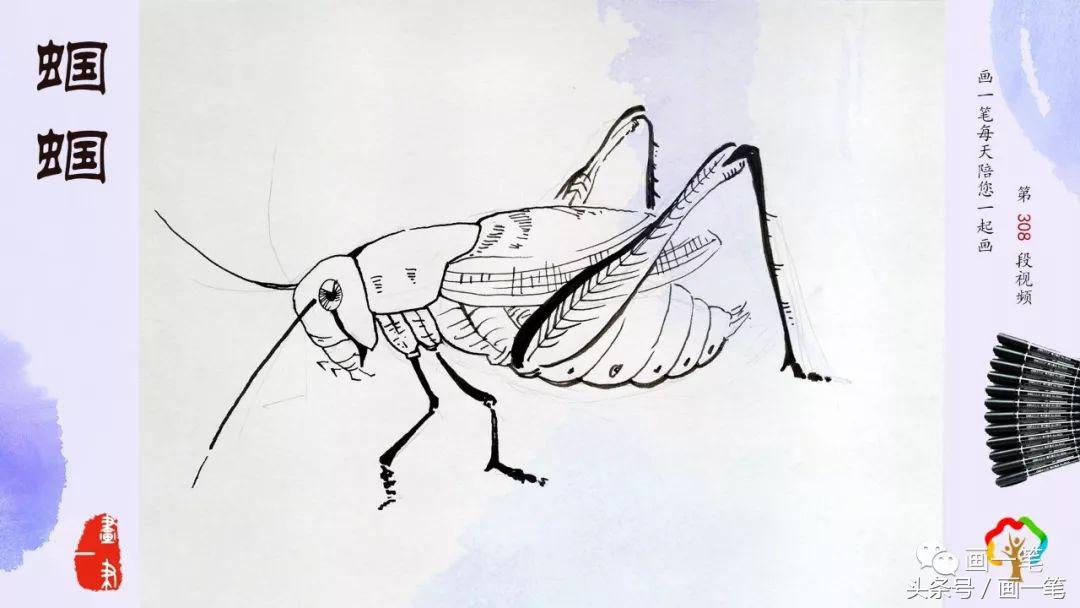 鸬鹚的国画画法,鸬鹚怎么画