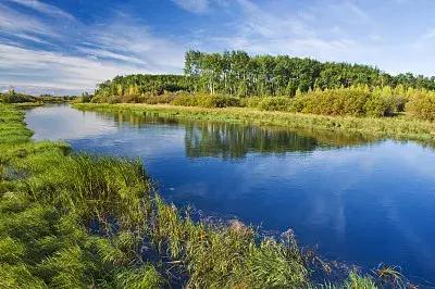 大学生兼职误入传销的案例,大学生找工作误入传销被骗